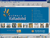 Web sin �nimo de lucro. Informaci�n relativa a las fiestas de Sep�lveda.